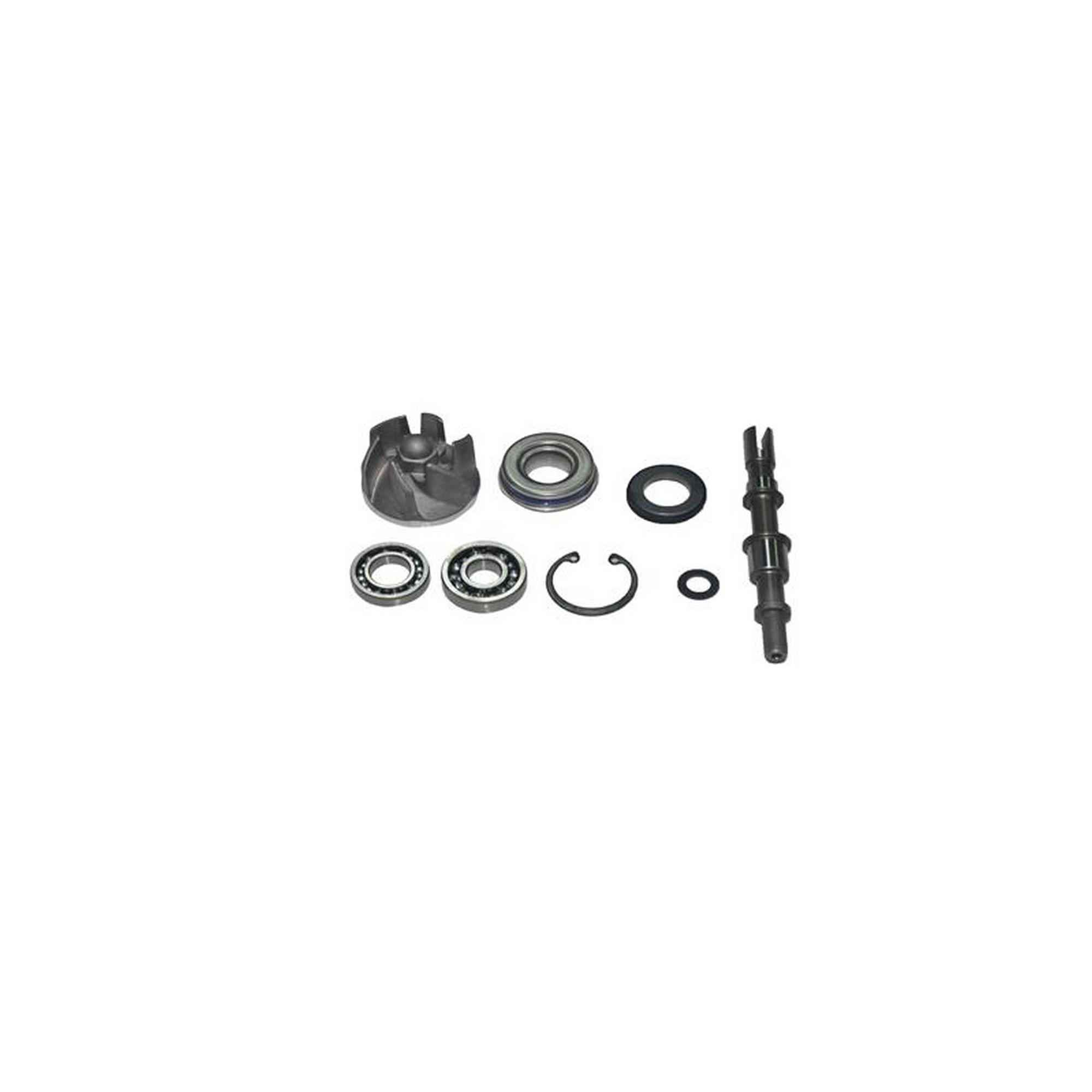 KUBA TRV 350 DEVİR DAİM POMPA APARATLARI TAKIM [ALTERRA400] #KM 77900
